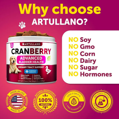 Dog UTI Treatment