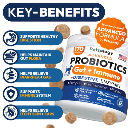 Probiotics for Dogs