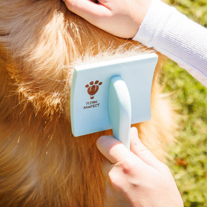 Curved Blue Small Pet Slicker Brush